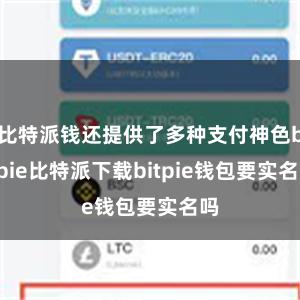 比特派钱还提供了多种支付神色bitpie比特派下载bitpi